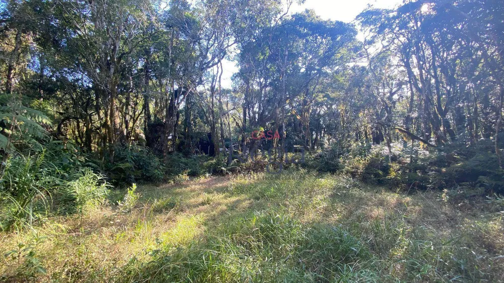 Loteamento e Condomínio, 644 m² - Foto 3