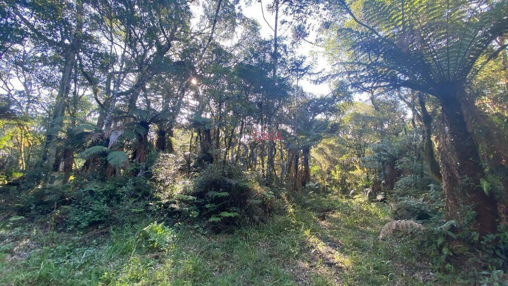 Loteamento e Condomínio, 644 m² - Foto 7