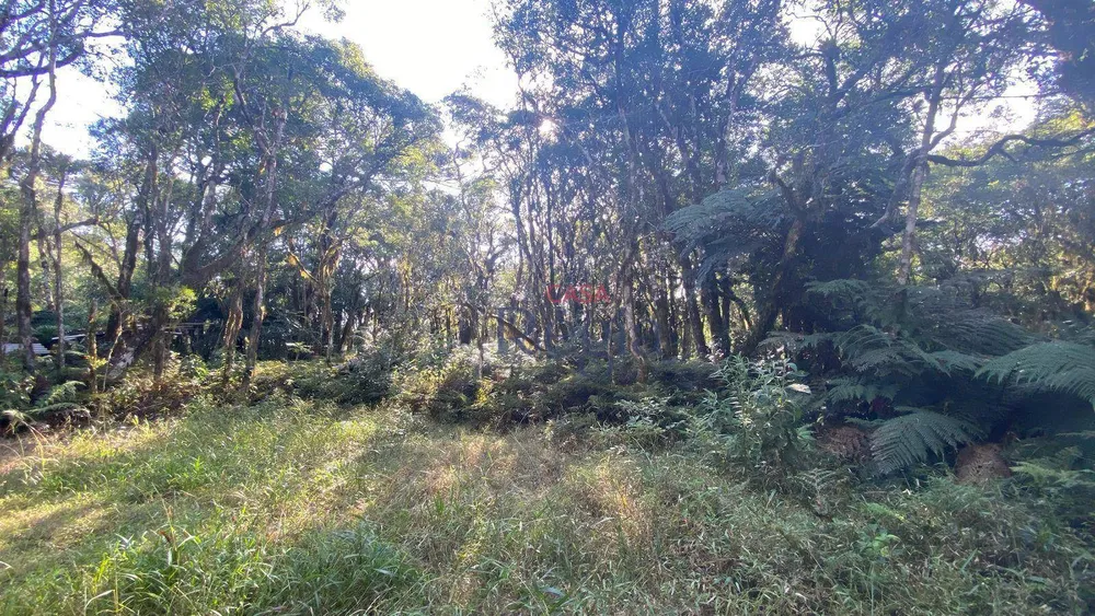 Loteamento e Condomínio, 644 m² - Foto 4