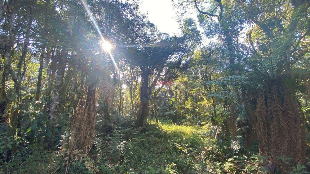 Loteamento e Condomínio, 644 m² - Foto 8