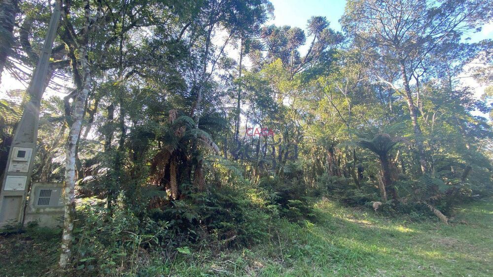 Loteamento e Condomínio, 644 m² - Foto 5