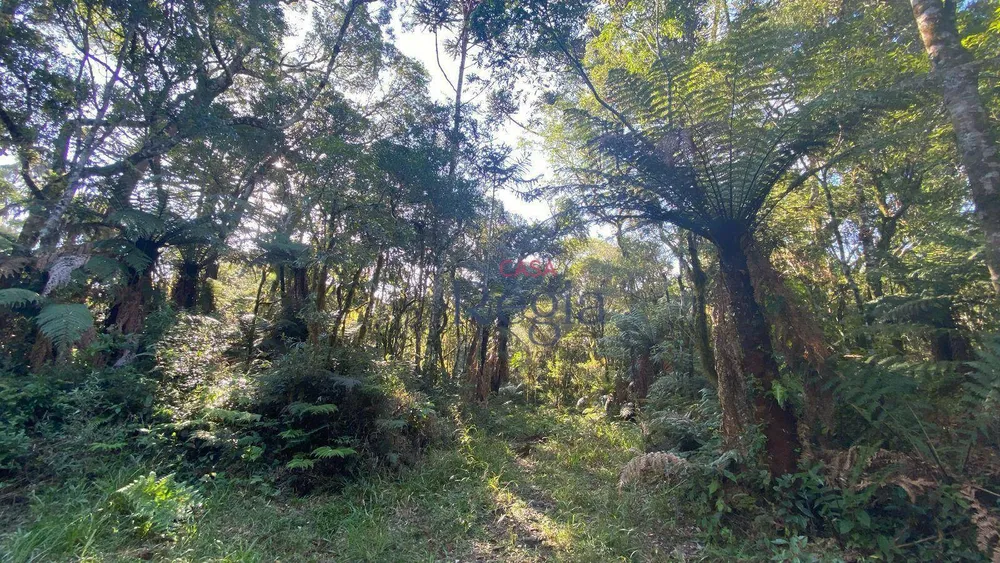 Loteamento e Condomínio, 644 m² - Foto 15
