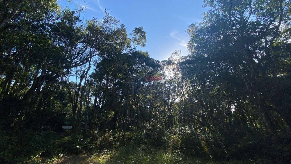 Loteamento e Condomínio, 644 m² - Foto 2