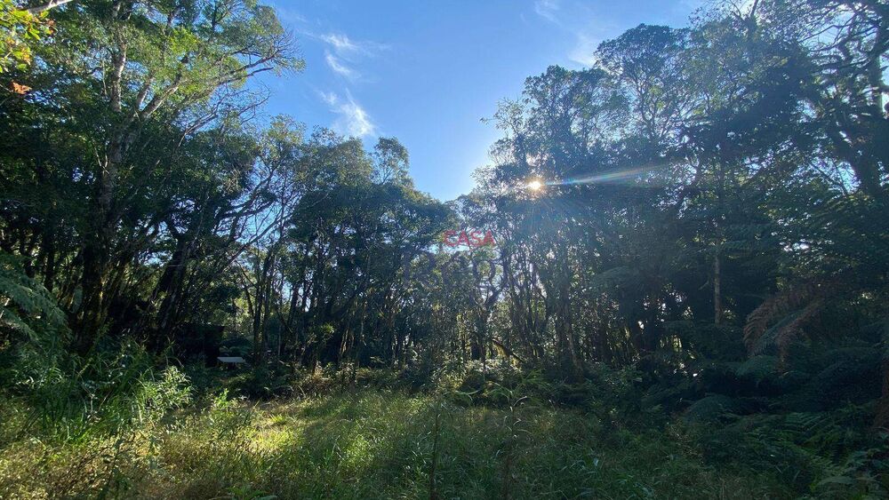 Loteamento e Condomínio, 644 m² - Foto 4