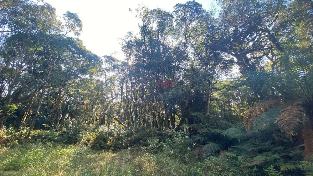 Loteamento e Condomínio, 644 m² - Foto 8