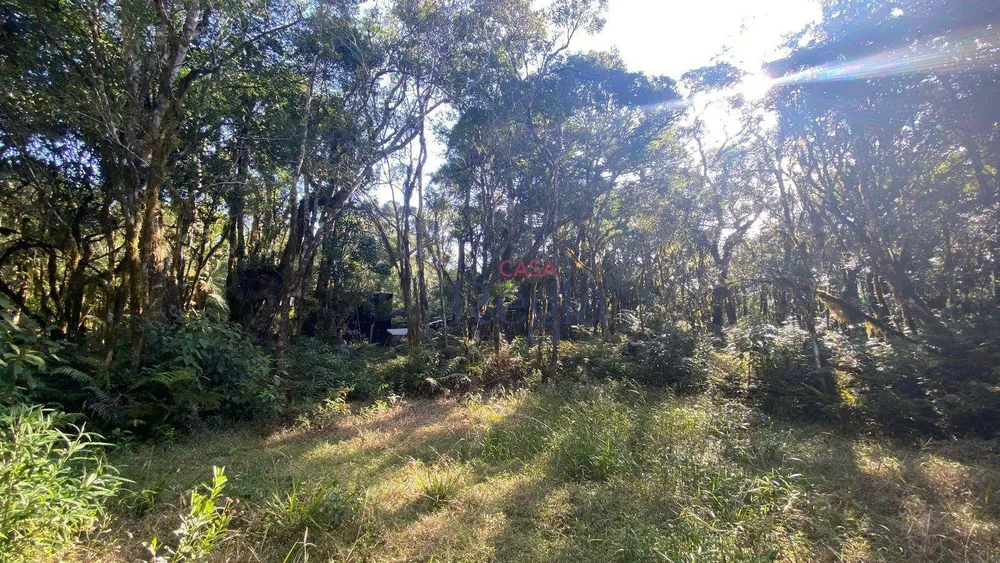 Loteamento e Condomínio, 644 m² - Foto 7
