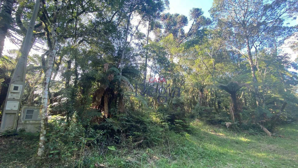 Loteamento e Condomínio, 644 m² - Foto 12
