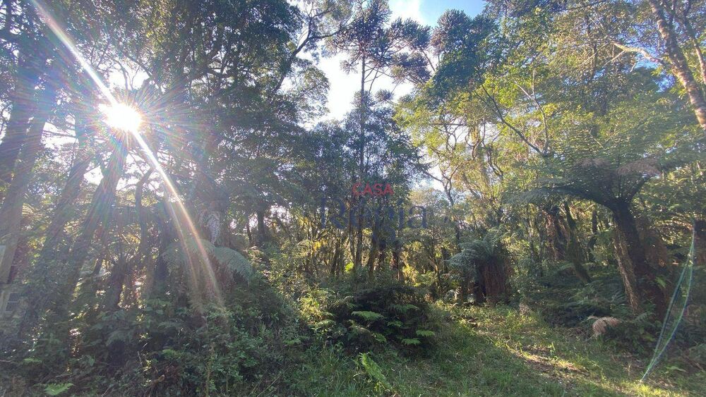 Loteamento e Condomínio, 644 m² - Foto 6