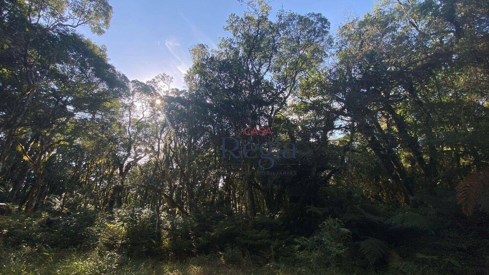 Loteamento e Condomínio, 644 m² - Foto 3