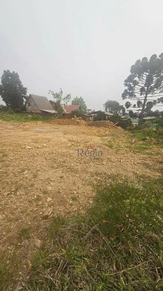 Loteamento e Condomínio, 374 m² - Foto 2