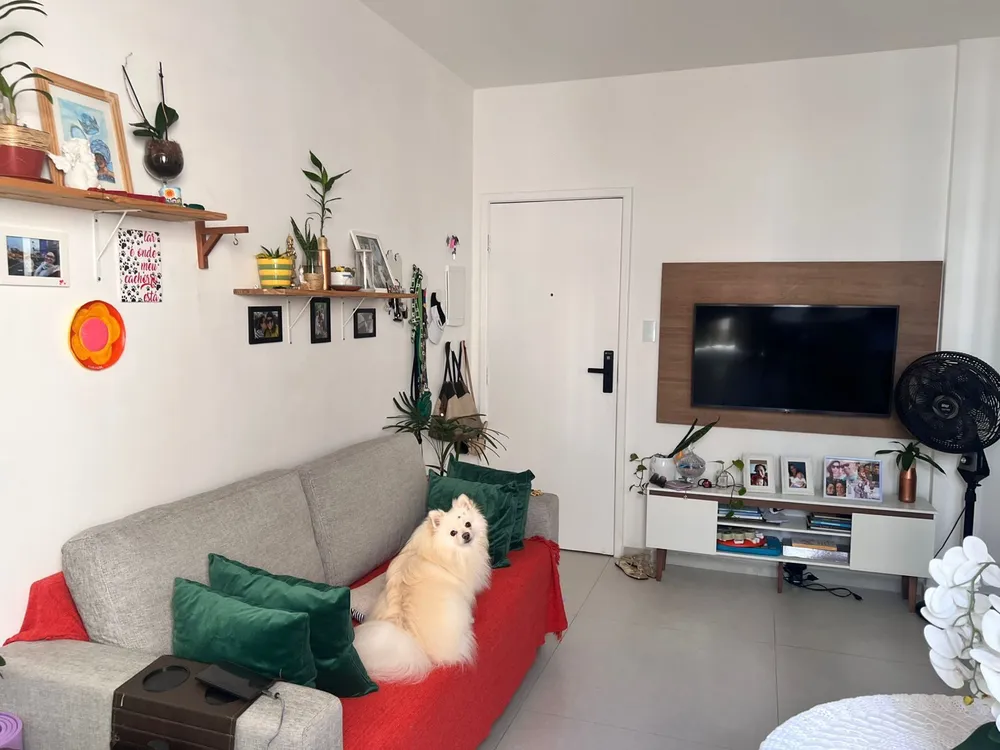 Apartamento, 1 quarto, 50 m² - Foto 1