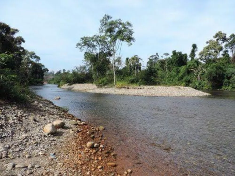 Chácara, 4 quartos, 4000 m² - Foto 18