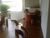 Casa, 5 quartos, 300 m² - Foto 24
