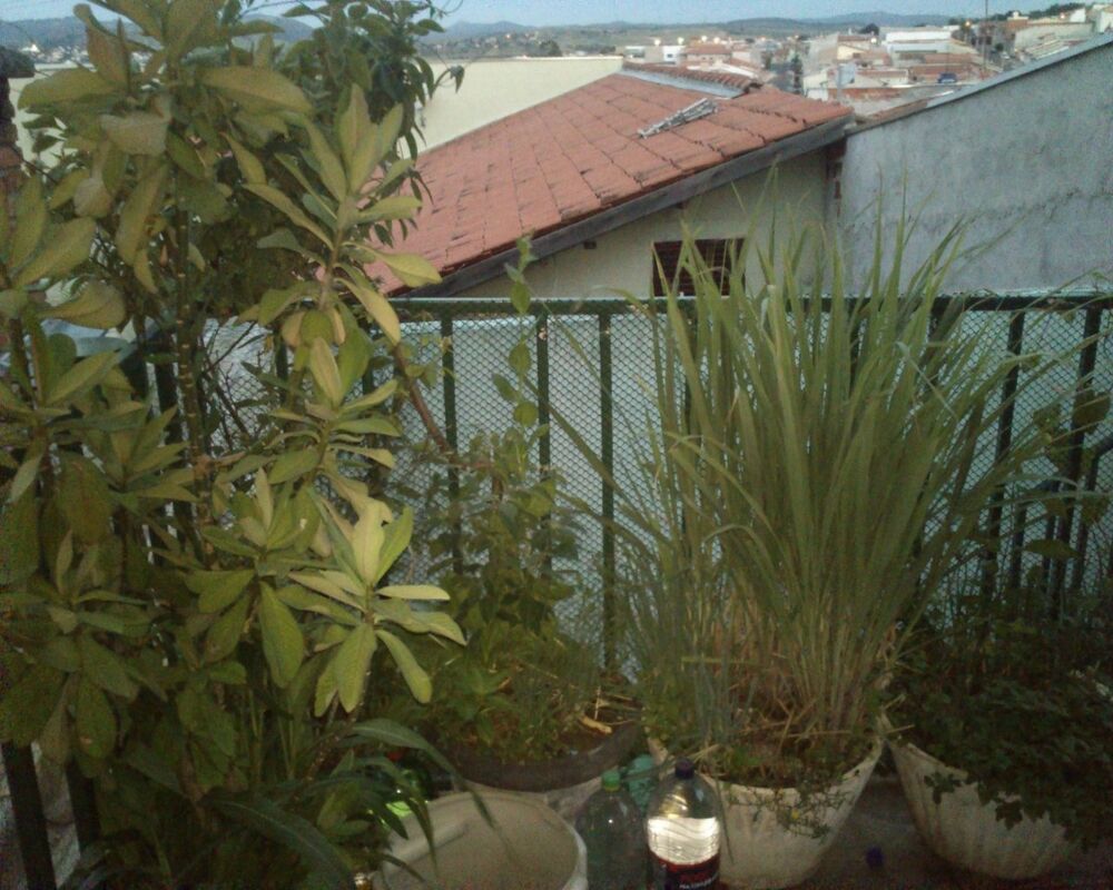 Casa, 3 quartos, 140 m² - Foto 3