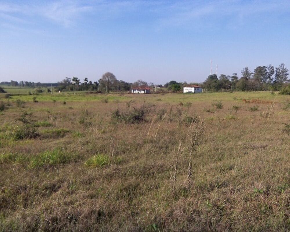 Terreno - Foto 2
