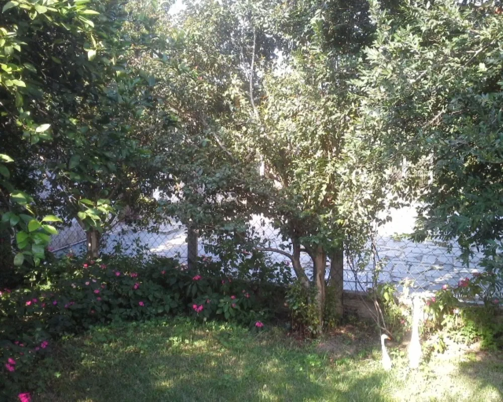 Terreno - Foto 3