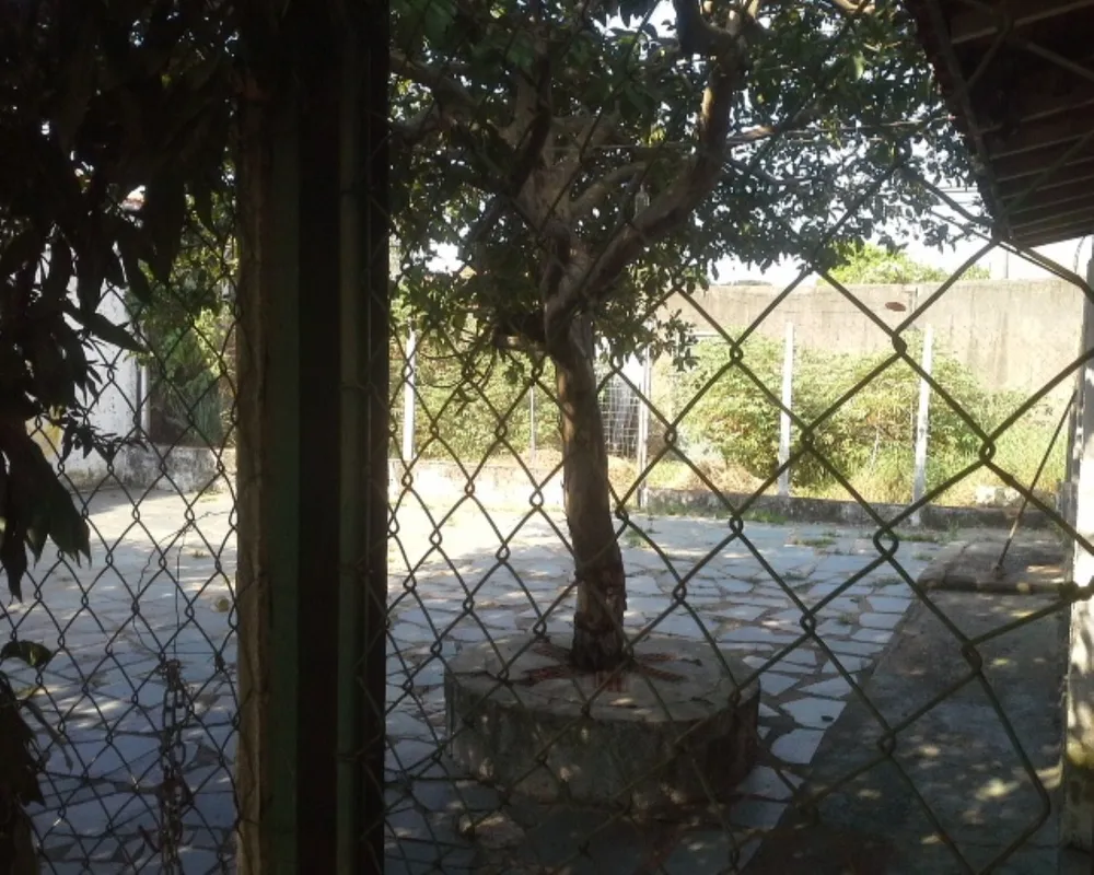 Terreno - Foto 1