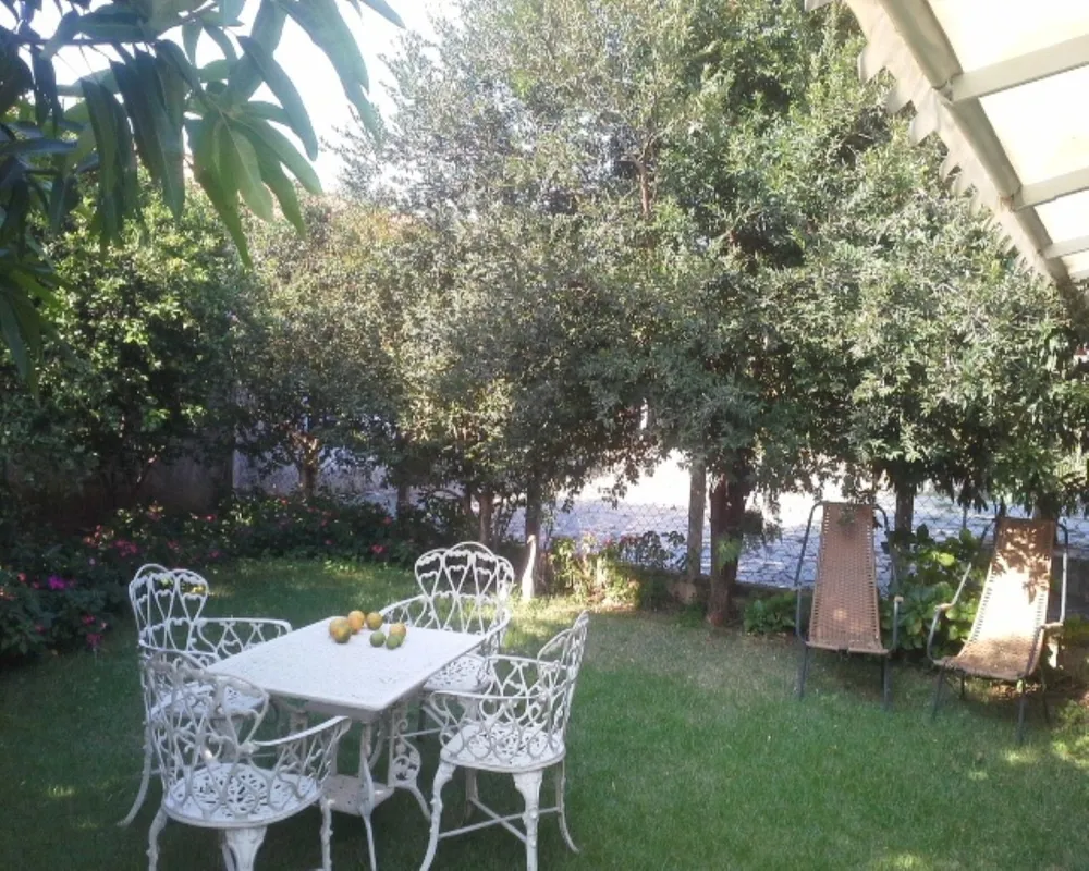 Terreno - Foto 2