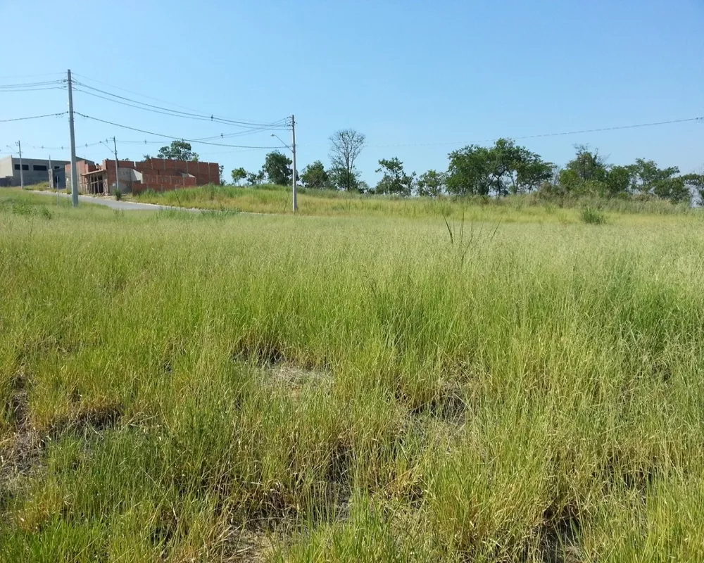 Terreno à venda - Foto 1