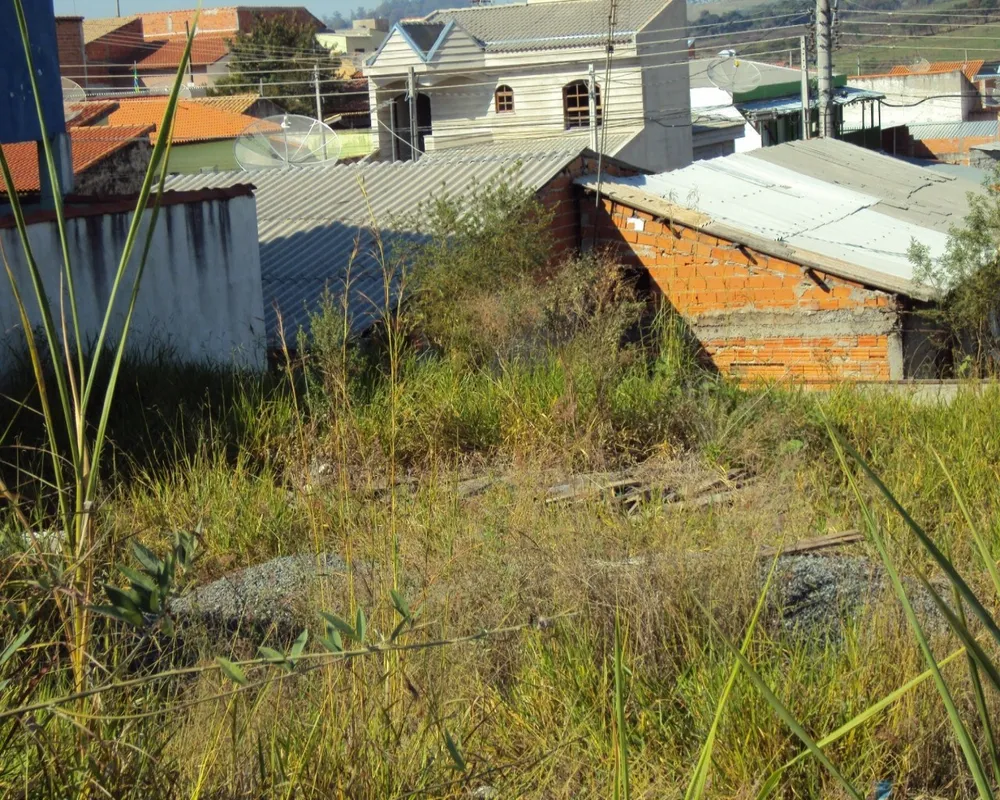 Terreno - Foto 1