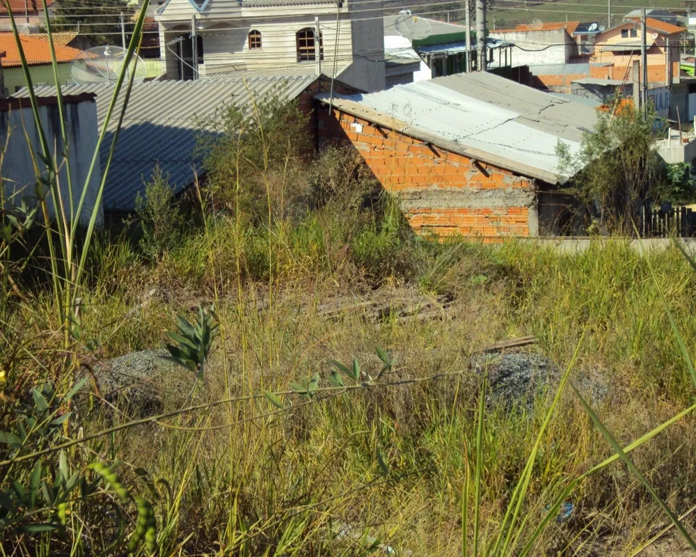 Terreno - Foto 2