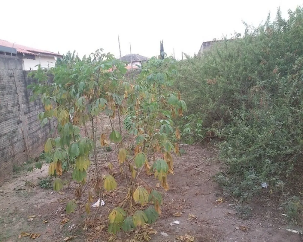 Terreno - Foto 2