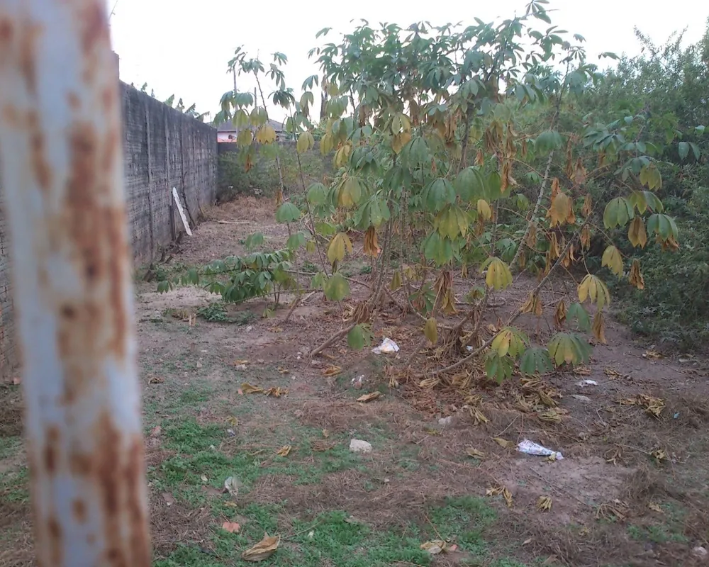 Terreno - Foto 1