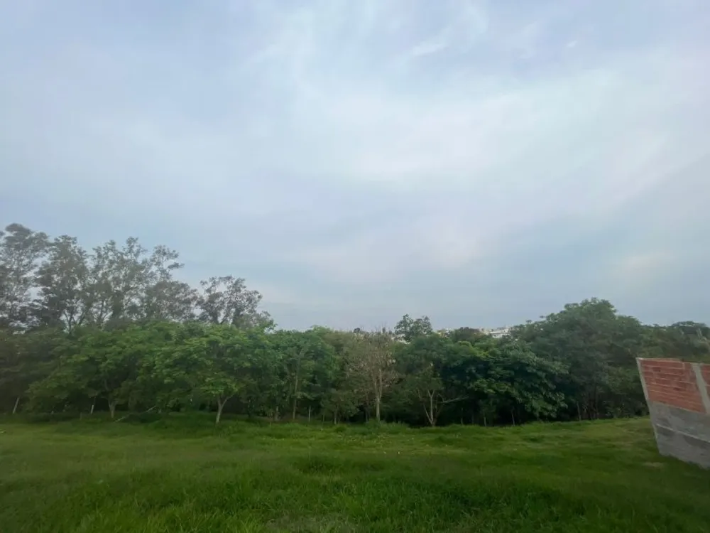 Terreno, 369 m² - Foto 4