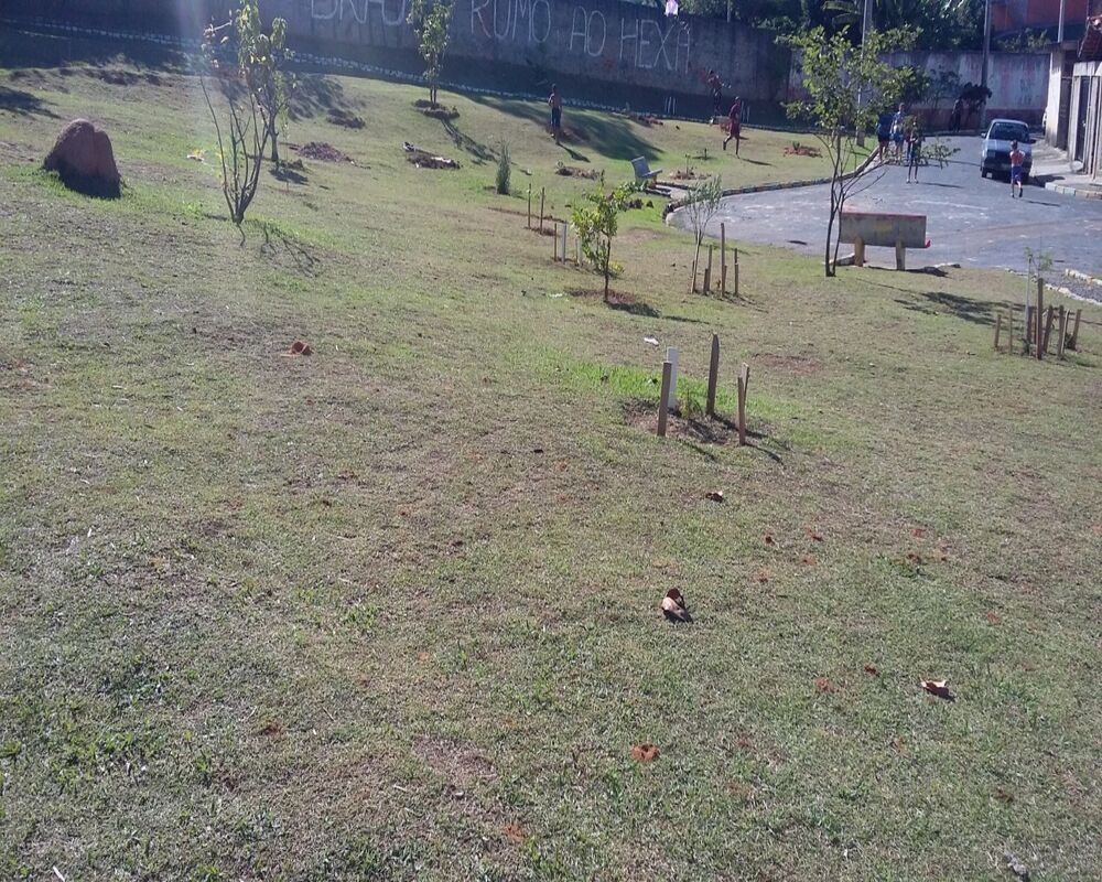Terreno - Foto 2