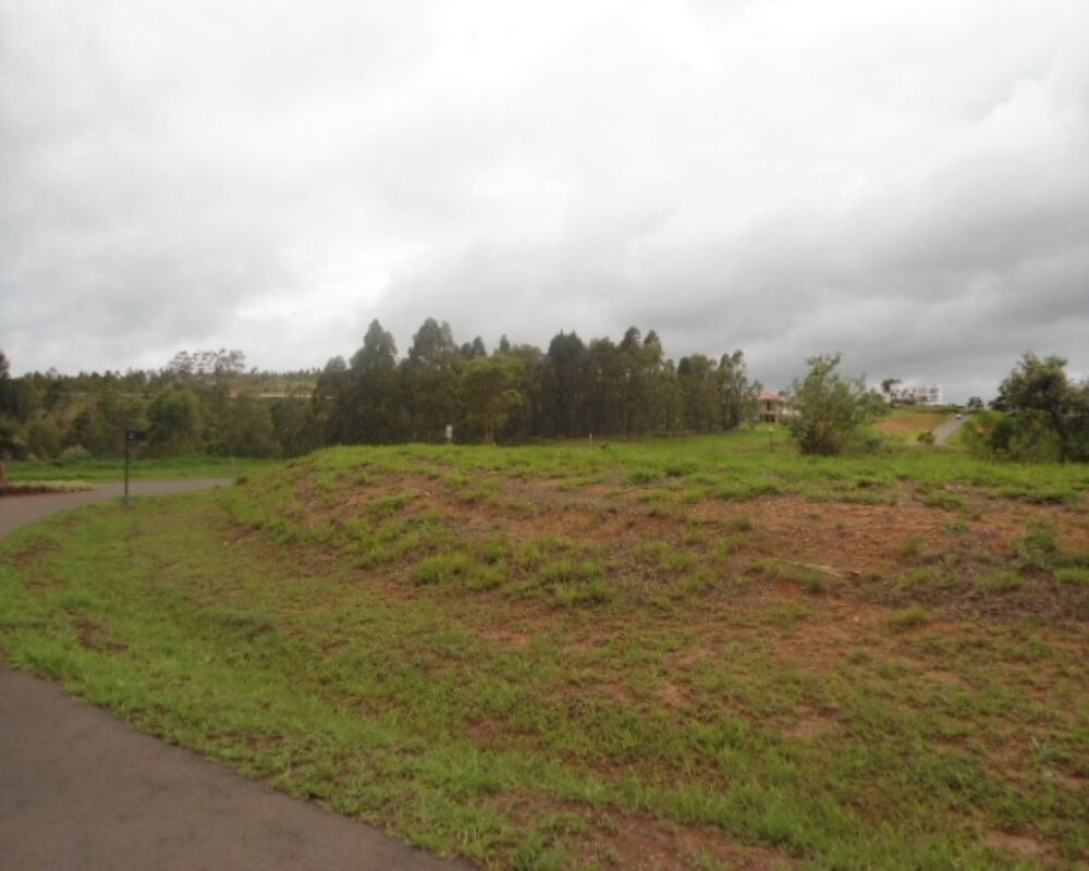 Terreno, 2900 m² - Foto 1