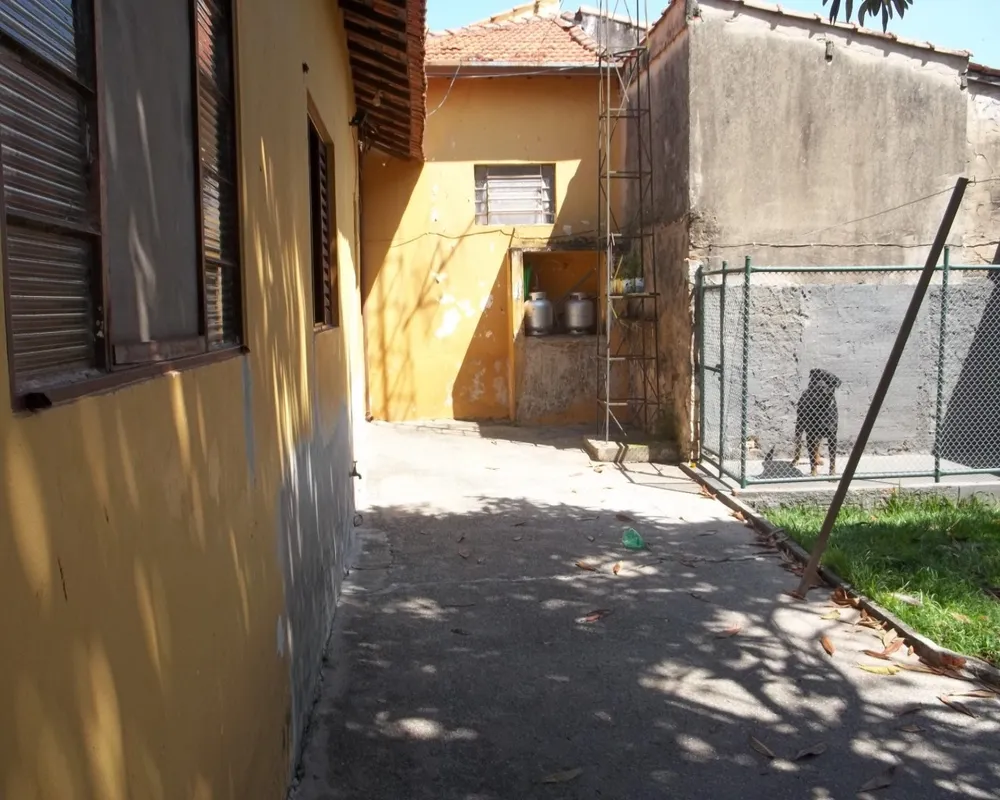 Casa, 5 quartos, 264 m² - Foto 4