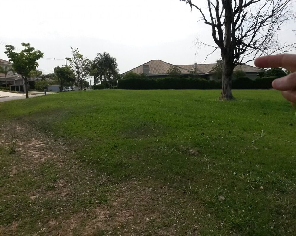 Terreno - Foto 2