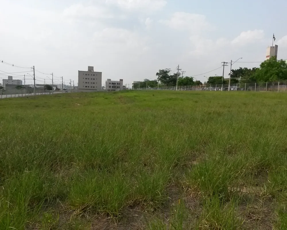 Terreno - Foto 4