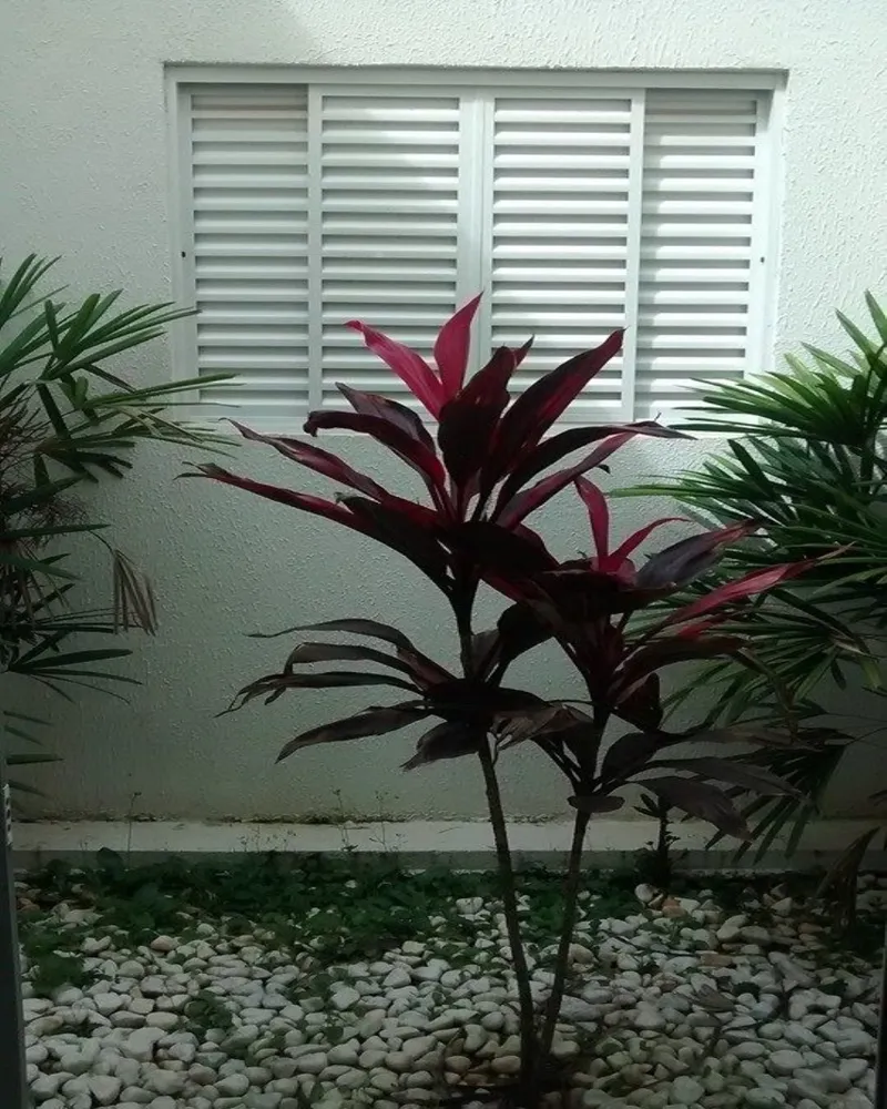 Casa, 3 quartos, 148 m² - Foto 2