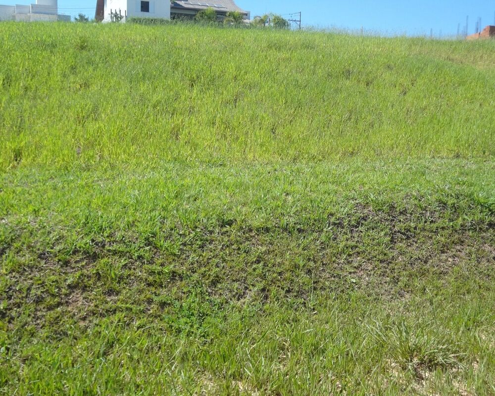 Terreno - Foto 2
