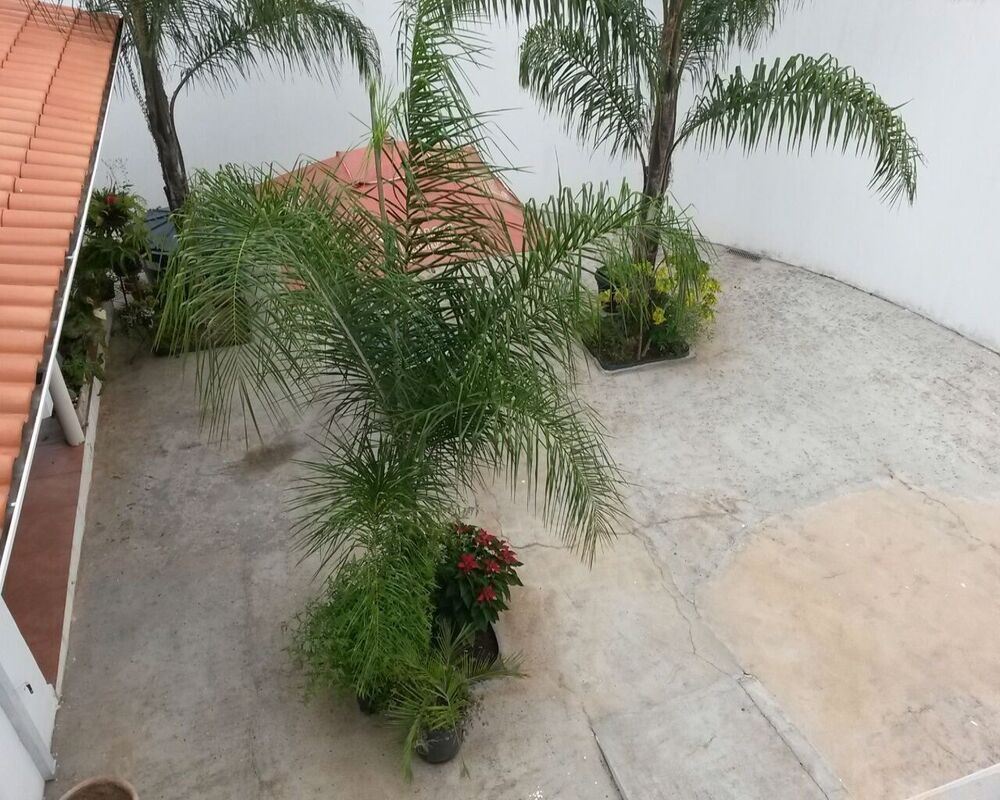 Casa, 2 quartos, 200 m² - Foto 4