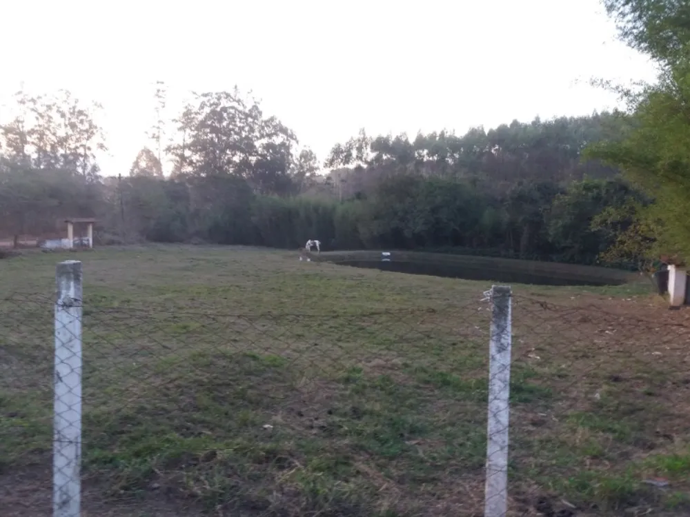 Chácara, 4 quartos - Foto 3