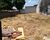 Terreno - Foto 1
