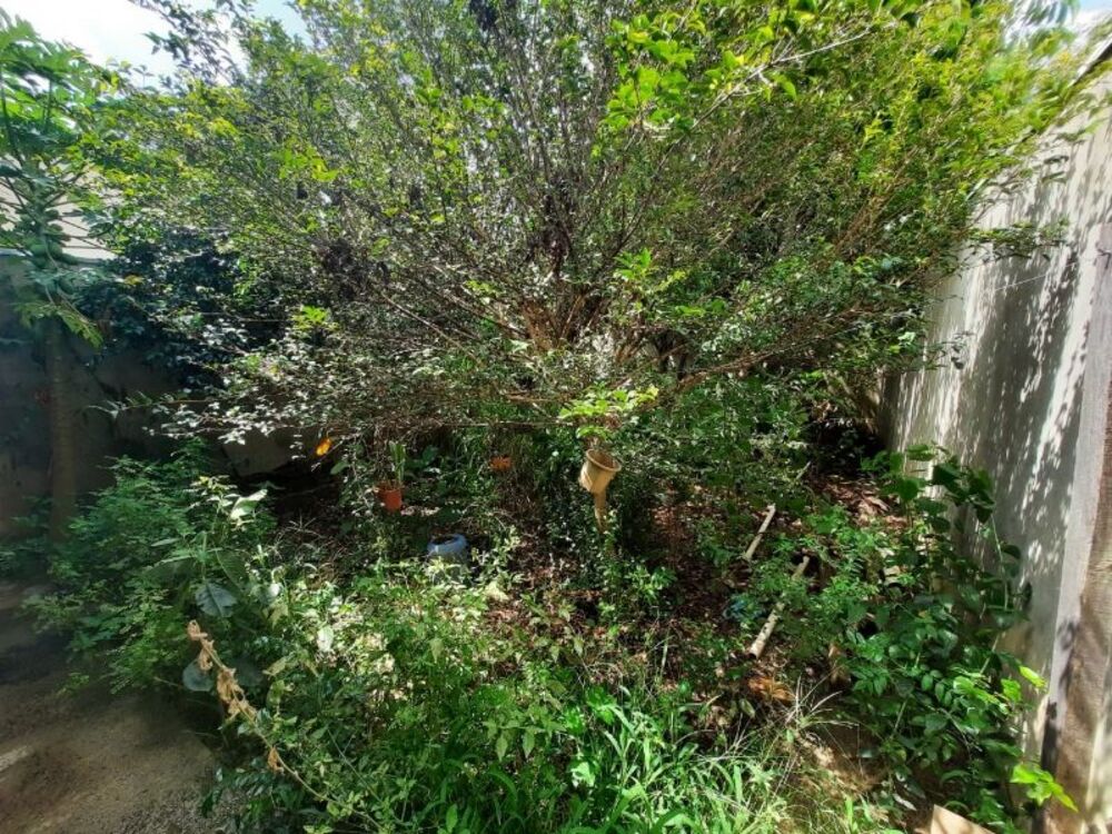 Casa, 3 quartos - Foto 11