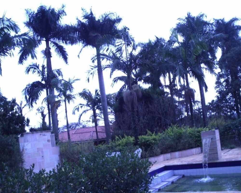 Chácara, 5 quartos - Foto 3