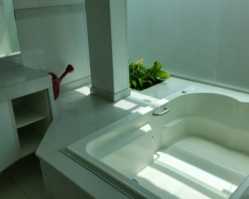 Casa, 4 quartos, 500 m² - Foto 3