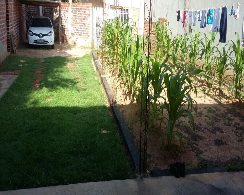 Casa, 1 quarto, 24 m² - Foto 2