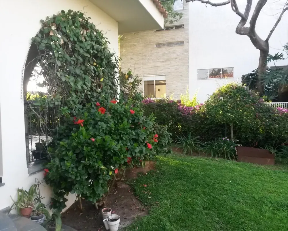 Casa, 4 quartos, 465 m² - Foto 2
