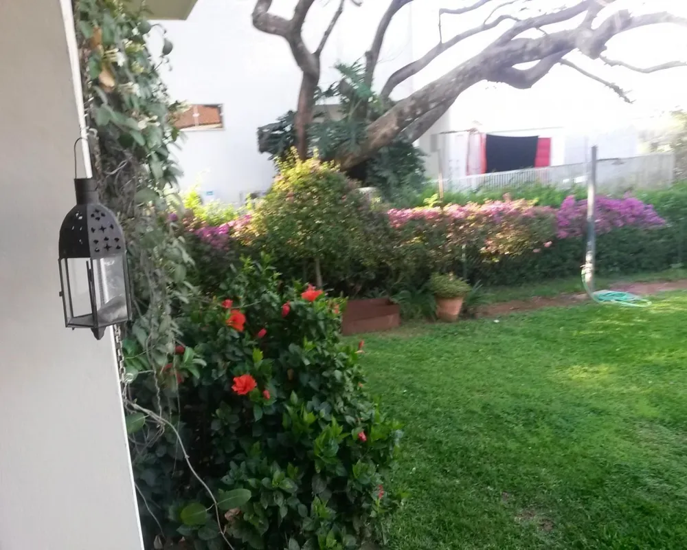 Casa, 4 quartos, 465 m² - Foto 3