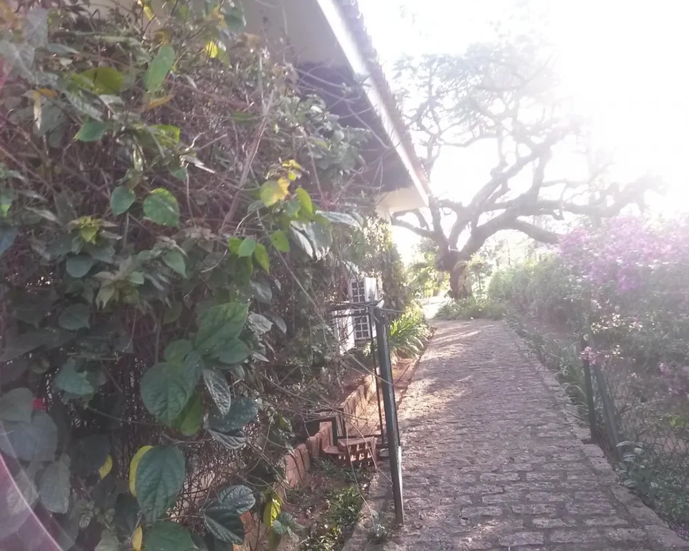 Casa, 4 quartos, 465 m² - Foto 1