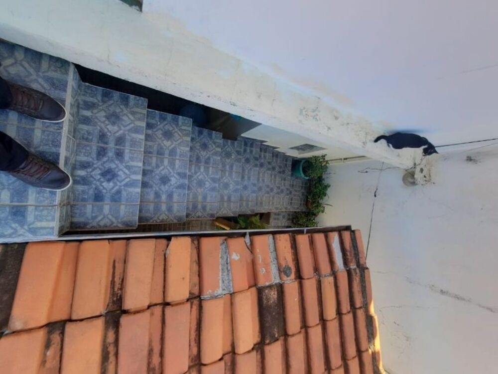 Casa, 4 quartos - Foto 9