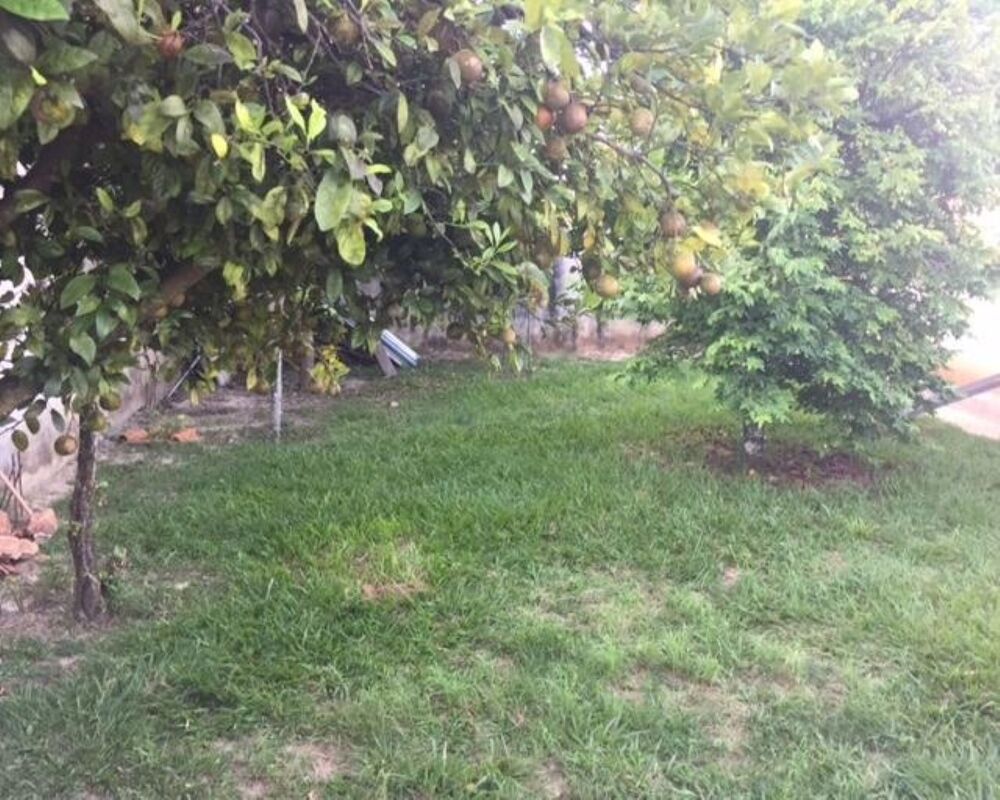 Chácara, 3 quartos - Foto 17