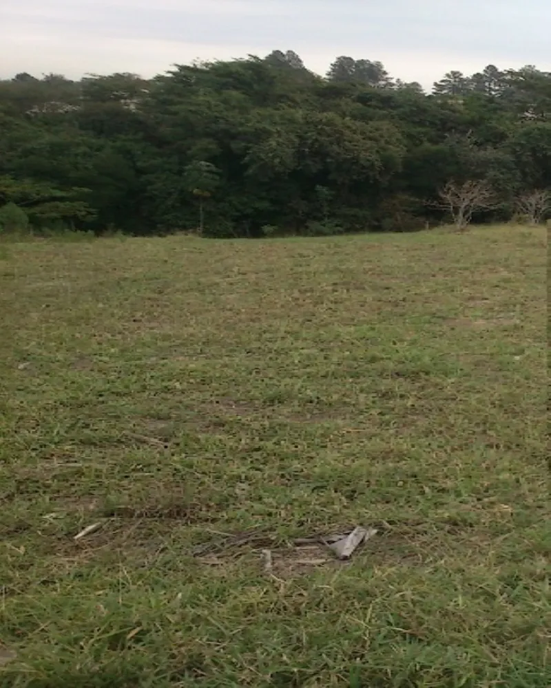 Terreno - Foto 3