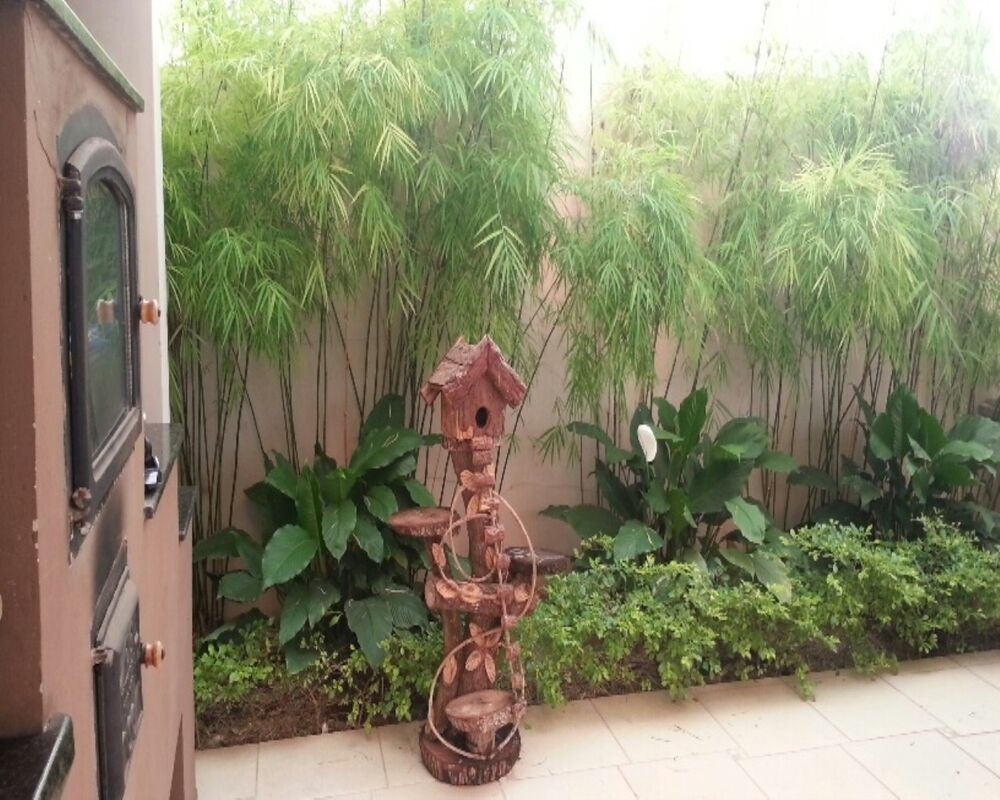Casa, 3 quartos, 315 m² - Foto 19