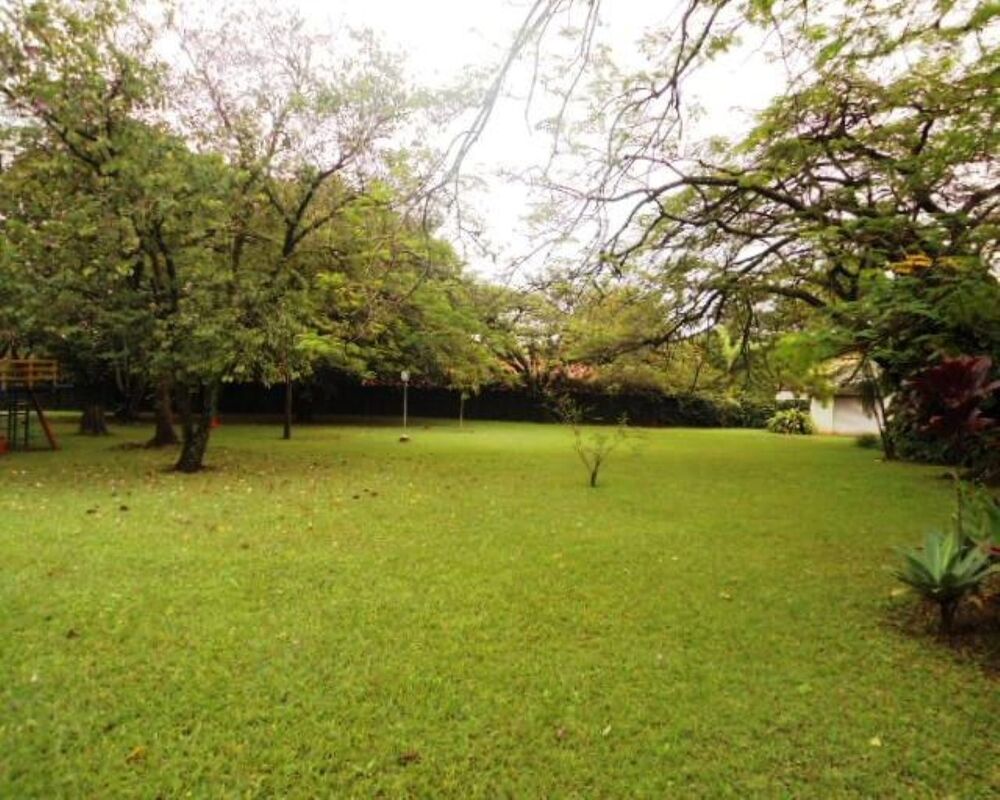 Chácara, 4 quartos - Foto 6